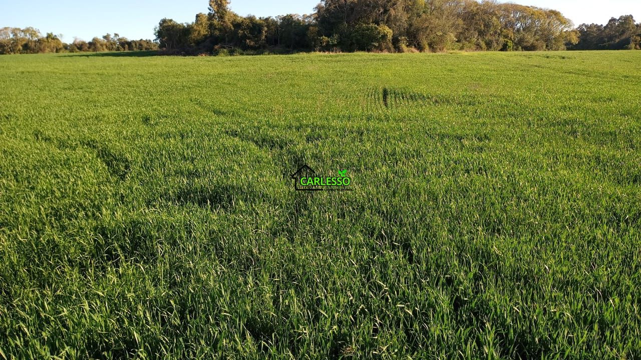 Área de 11,4 ha com casa