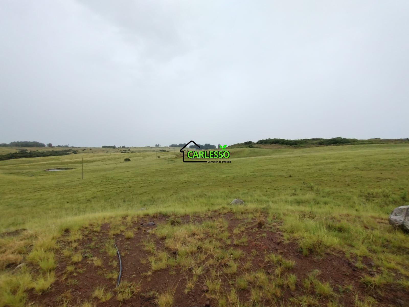 Fazenda de 80 ha em Alegrete