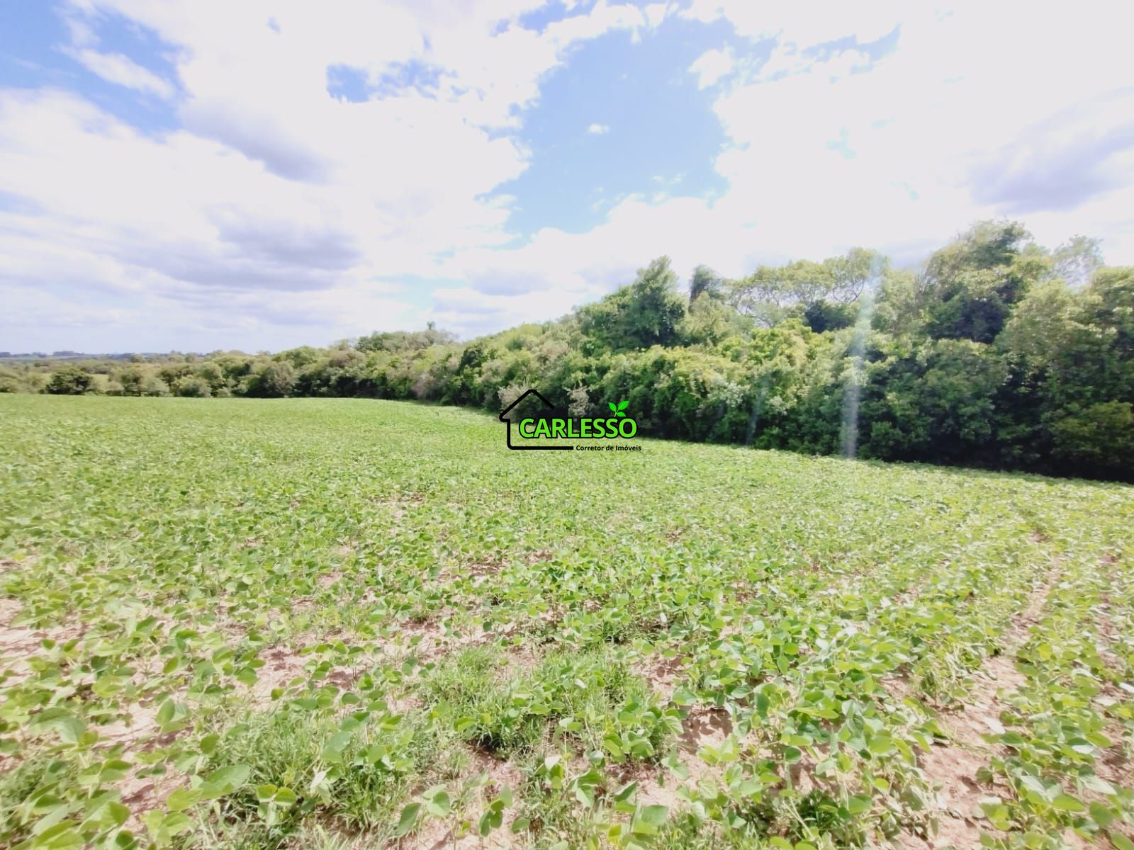 Sítio, 25 hectares - Foto 39