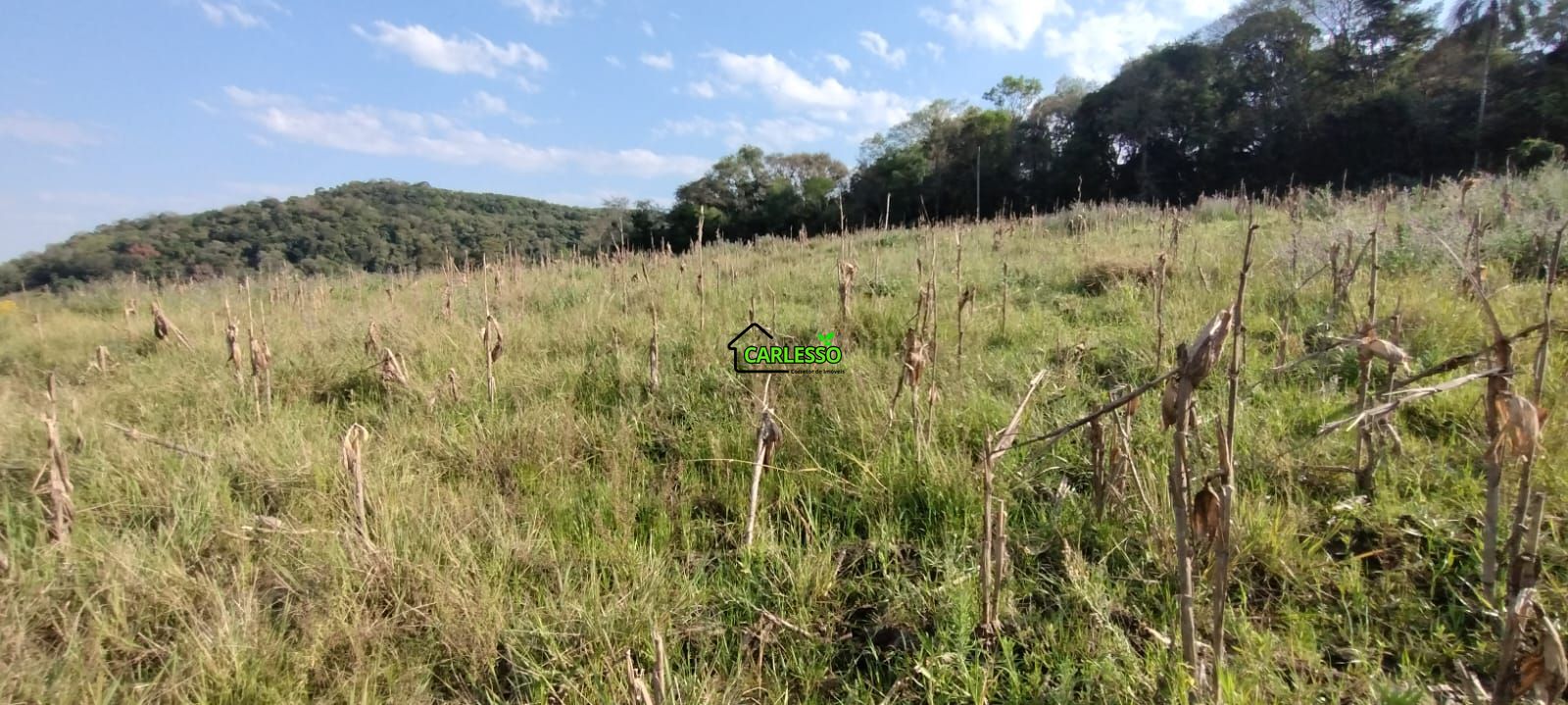 Área rural de 5 ha