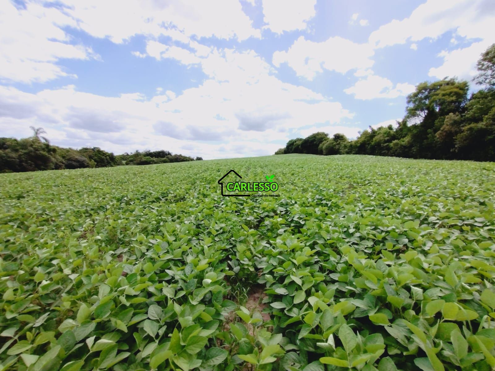 Sítio, 25 hectares - Foto 31