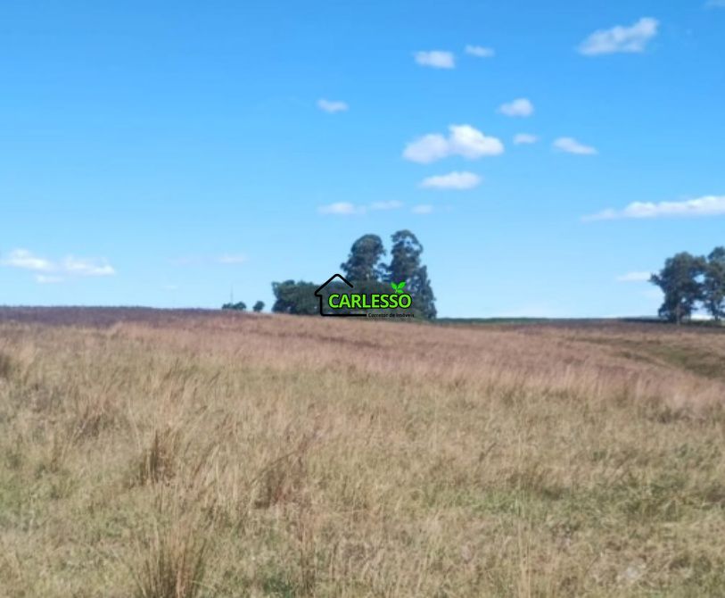 Fazenda, 156 hectares - Foto 11