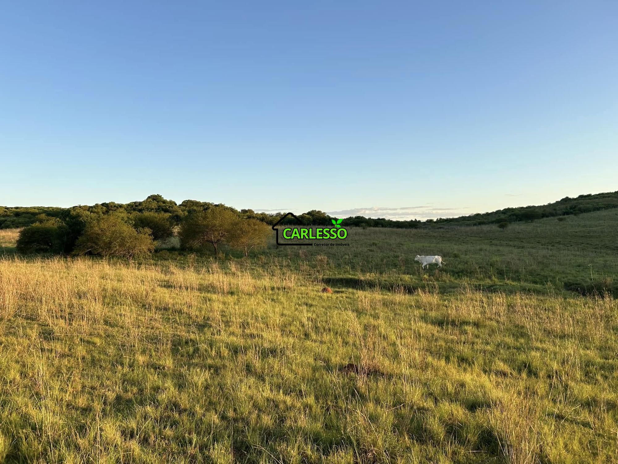 Fazenda/sítio/chácara/haras à venda  no Zona Rural - Alegrete, RS. Imóveis