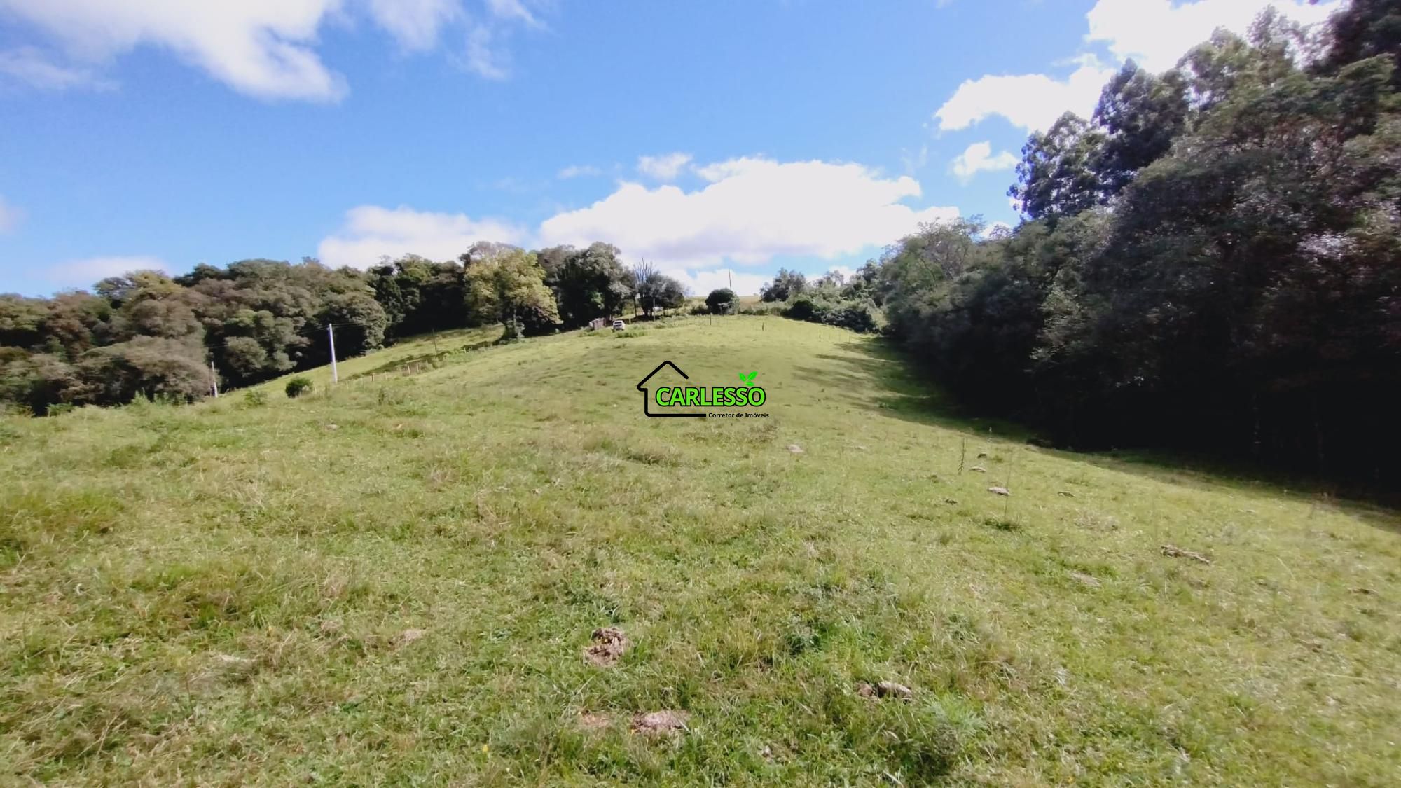 Área rural de 6 ha