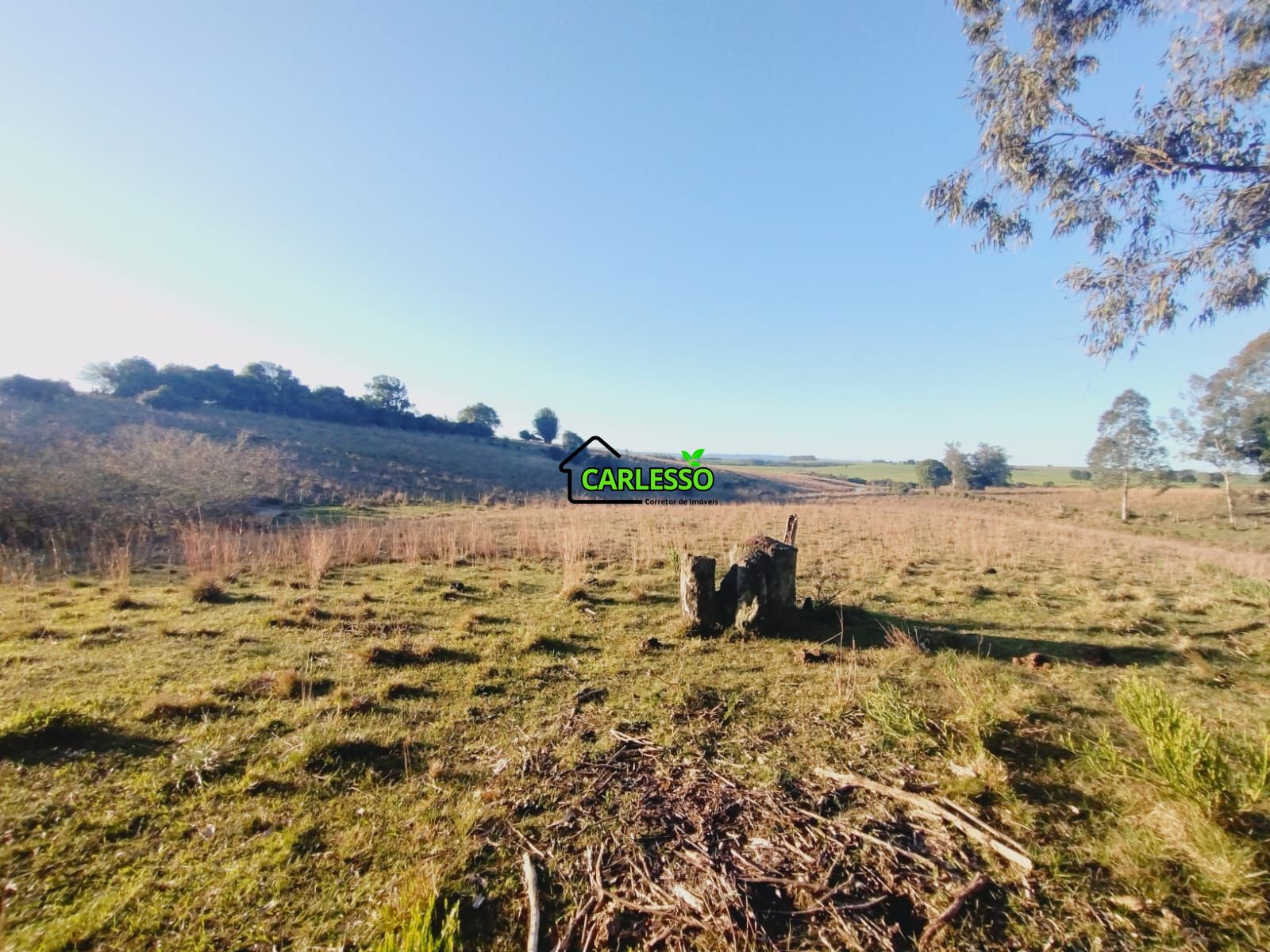 Sítio, 3 quartos, 7 hectares - Foto 36