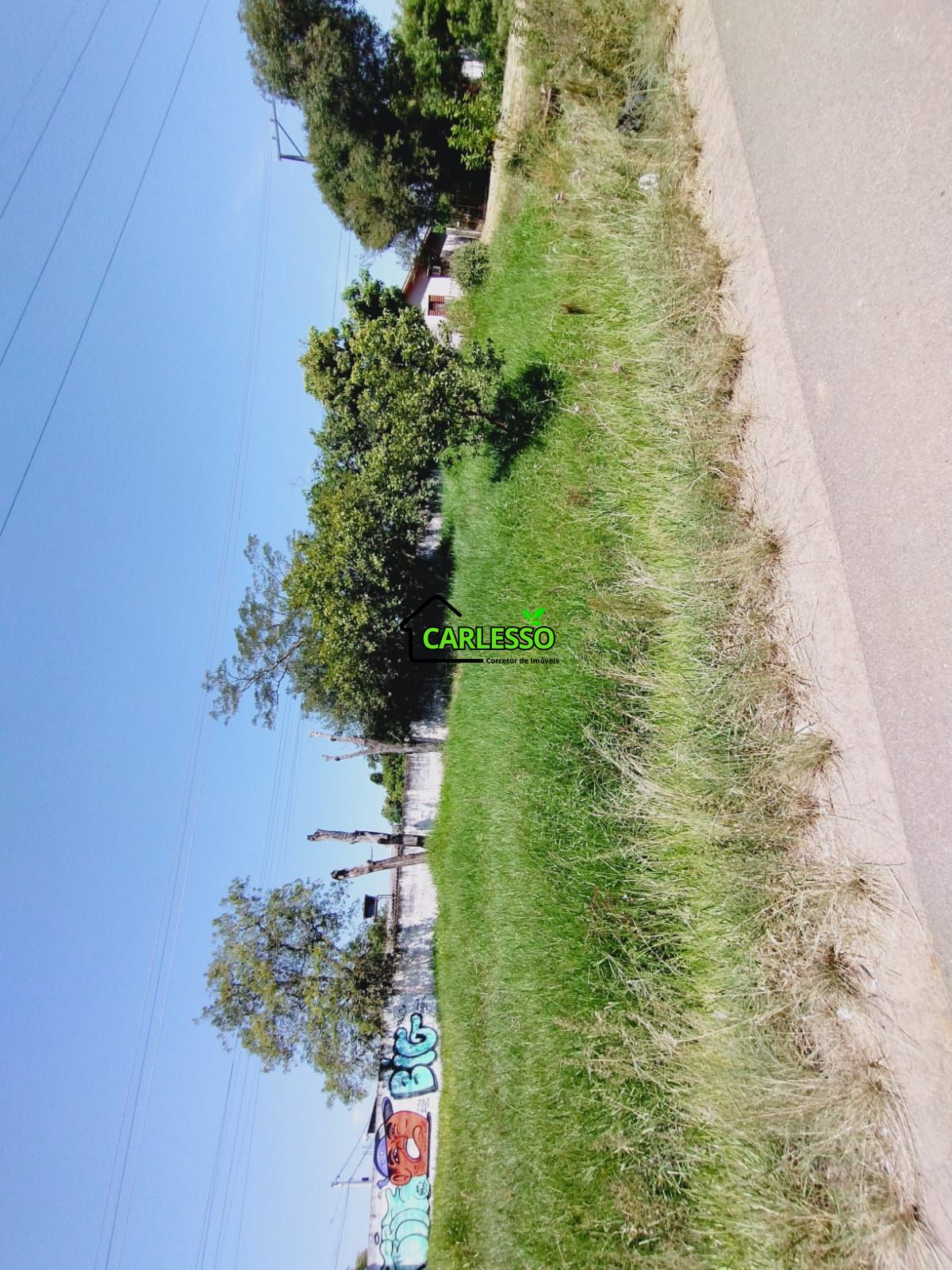 Terreno, 1194 m² - Foto 6