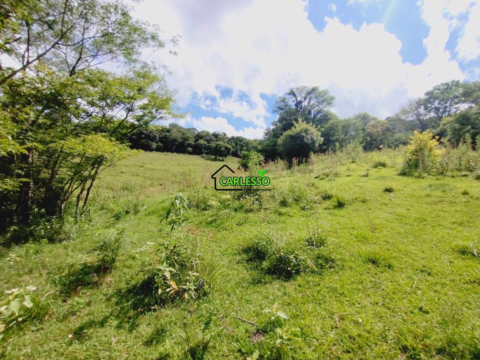 Fazenda/sítio/chácara/haras à venda, 228.000 m² por R$ 662.000,00 Fazenda/sítio/chácara/haras à venda, 228.000 m² por R$ 662.000,00