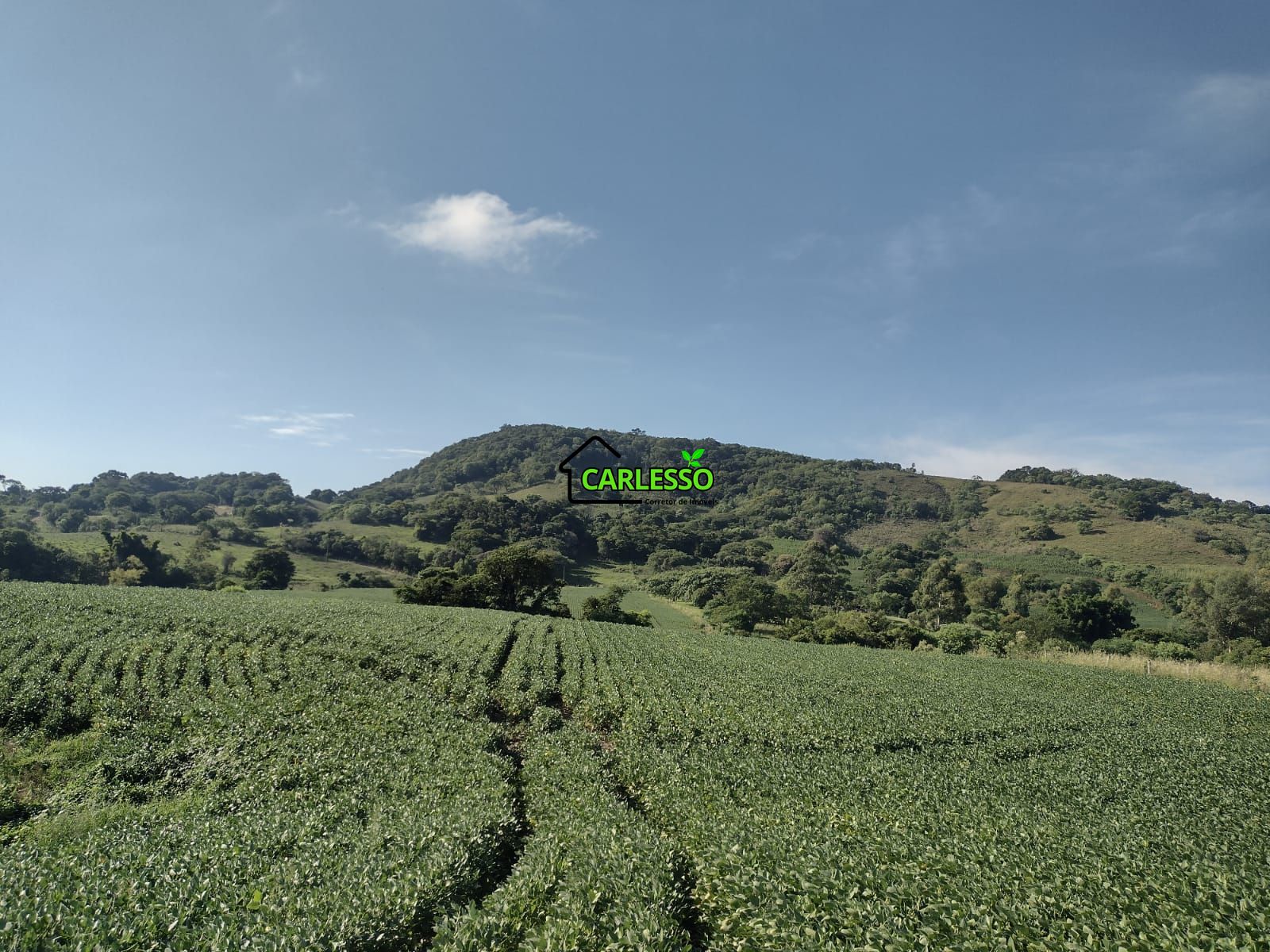 Área de 8,5 ha a venda