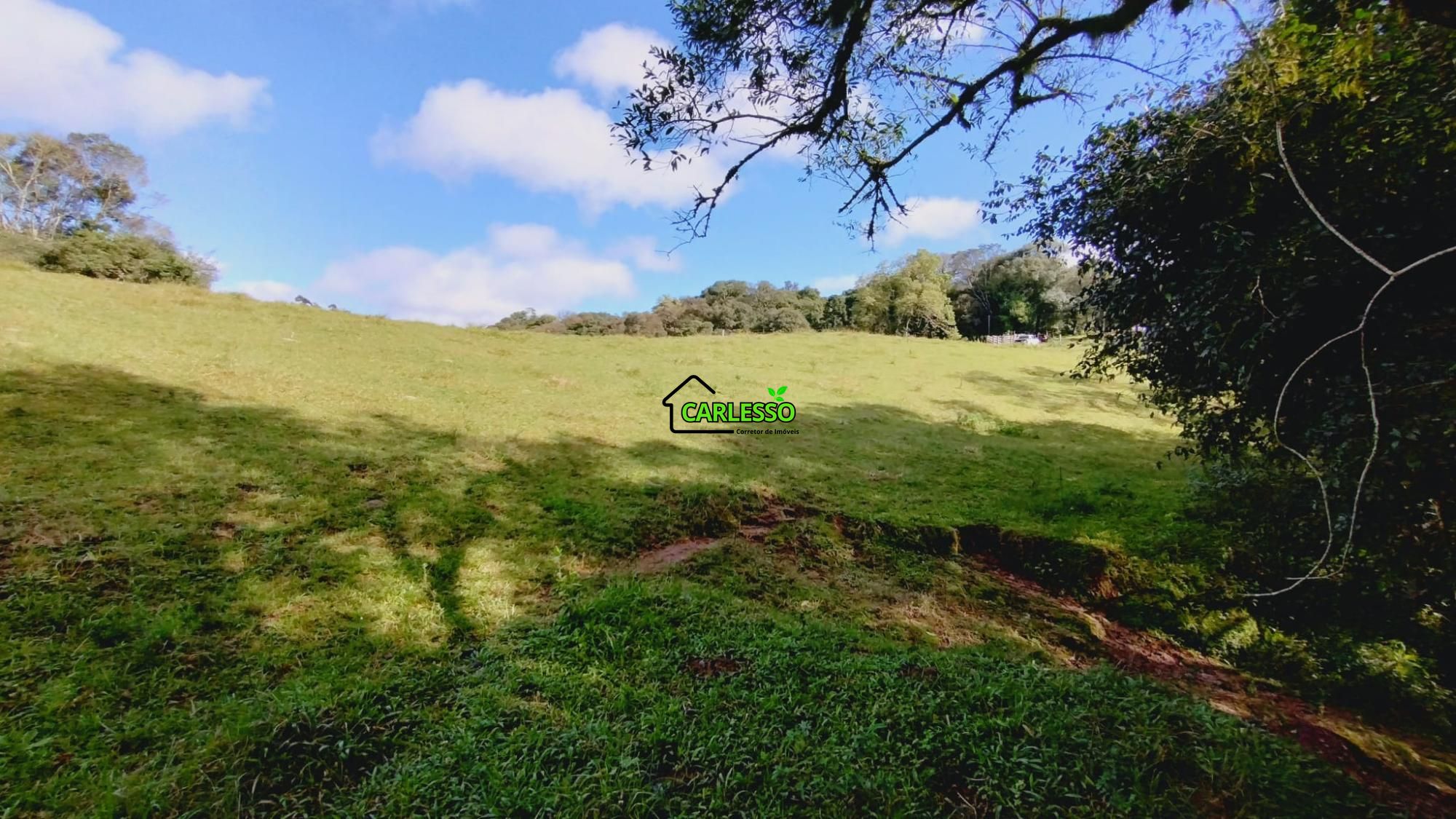 Área rural de 6 ha