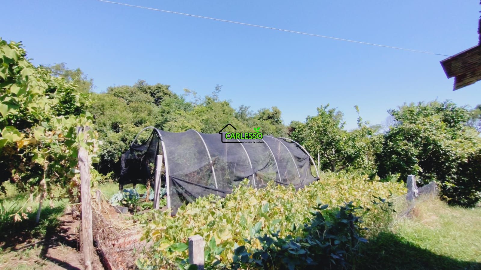 Sítio, 2 quartos, 7 hectares - Foto 29