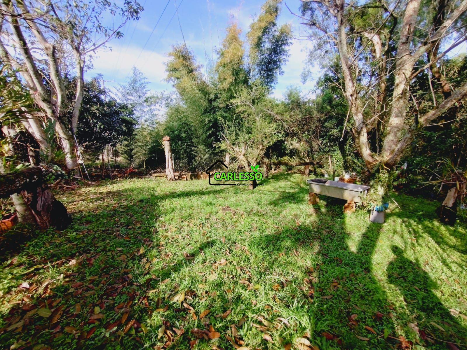 Chácara, 3 quartos, 10000 m² - Foto 28