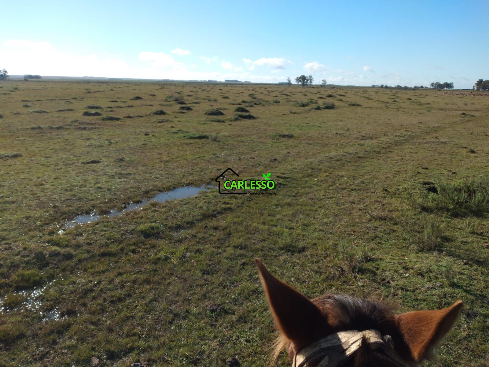 Fazenda de 65 ha