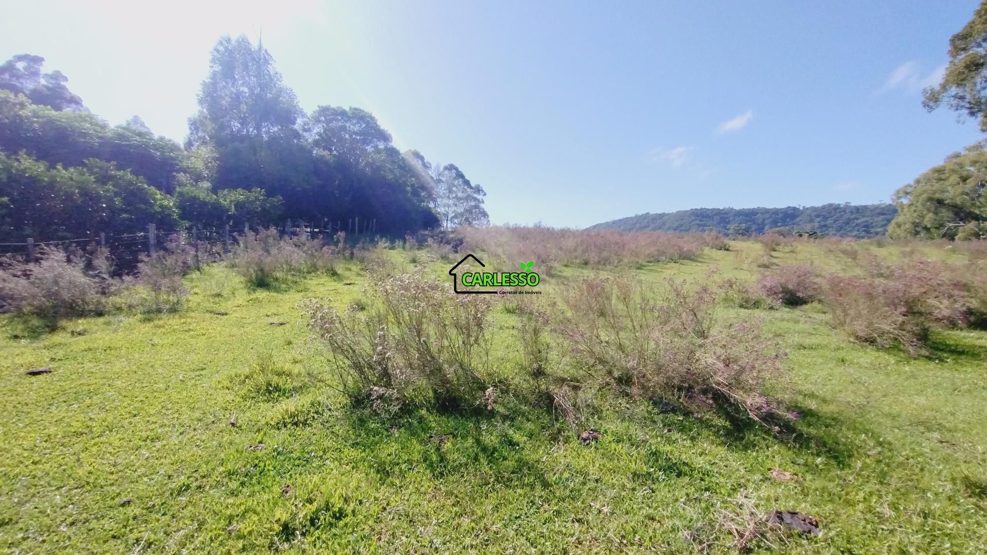 Sítio, 18 hectares - Foto 2