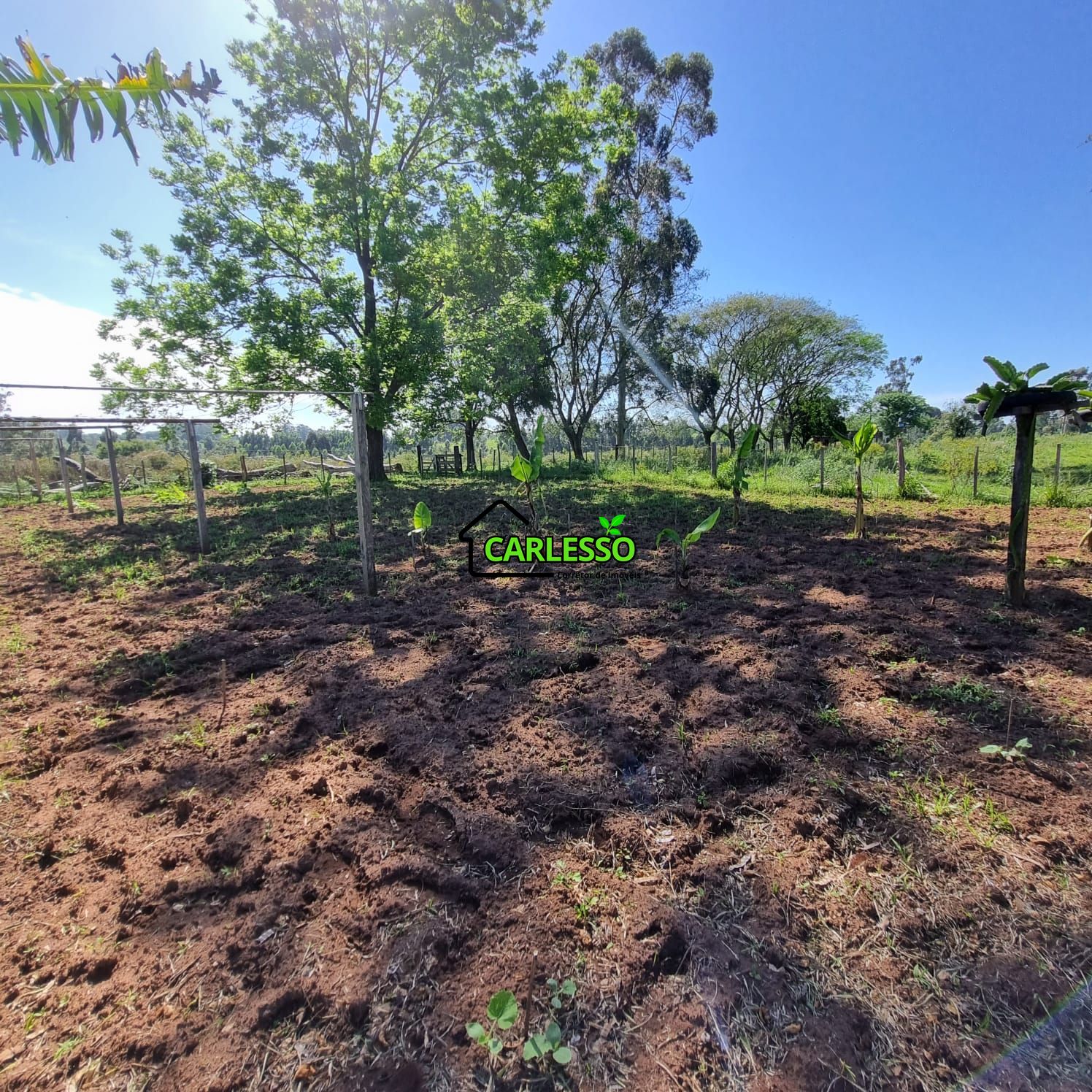 Chácara, 5 quartos, 7 hectares - Foto 17