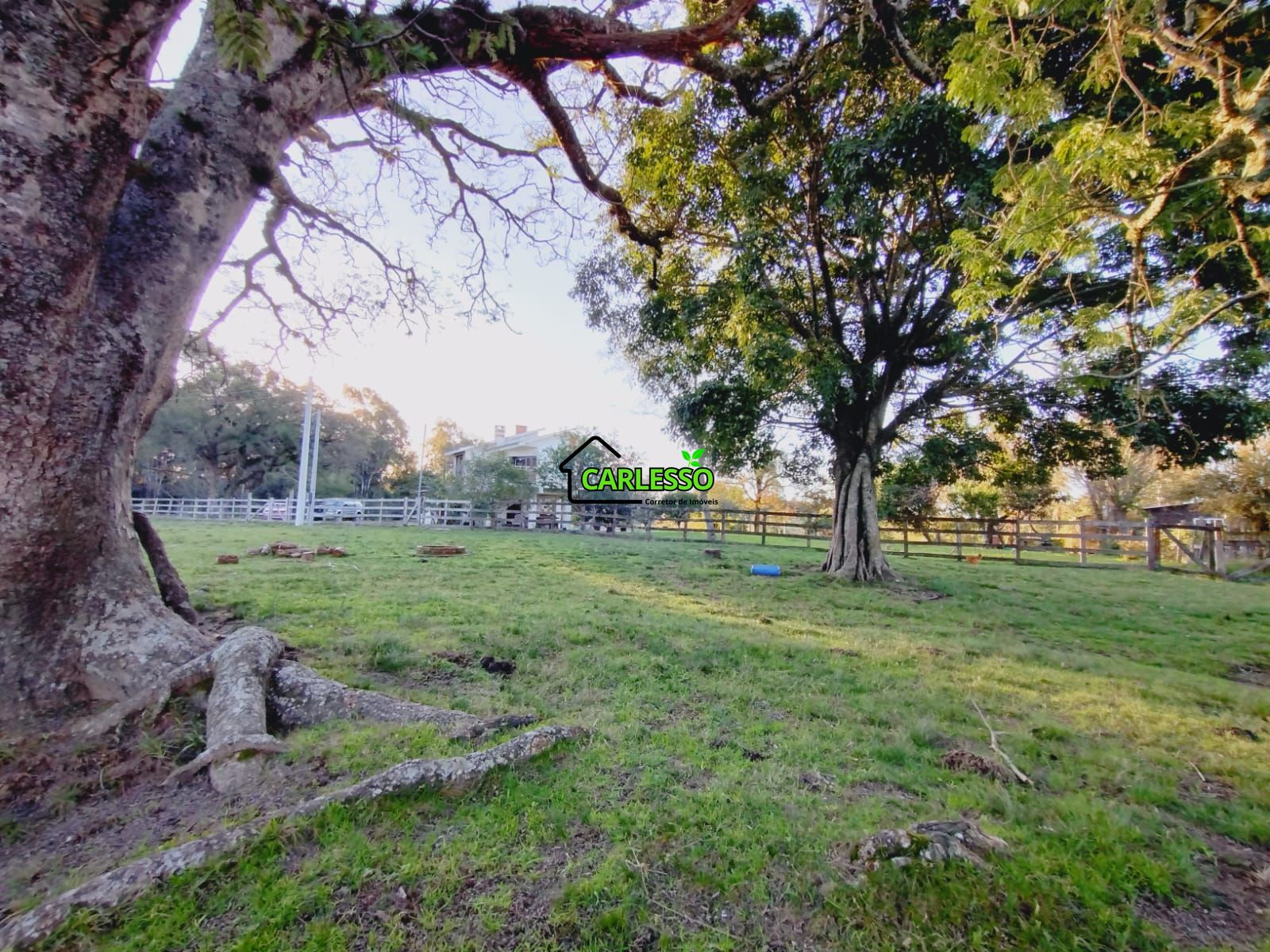 Sítio, 3 quartos, 7 hectares - Foto 12