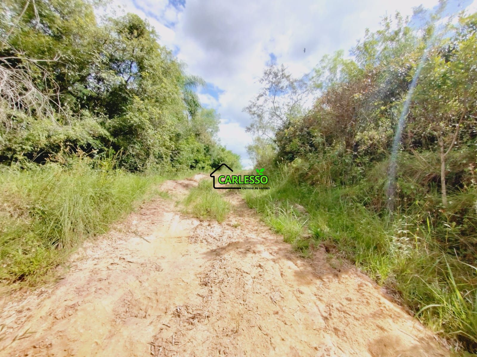 Sítio, 25 hectares - Foto 50