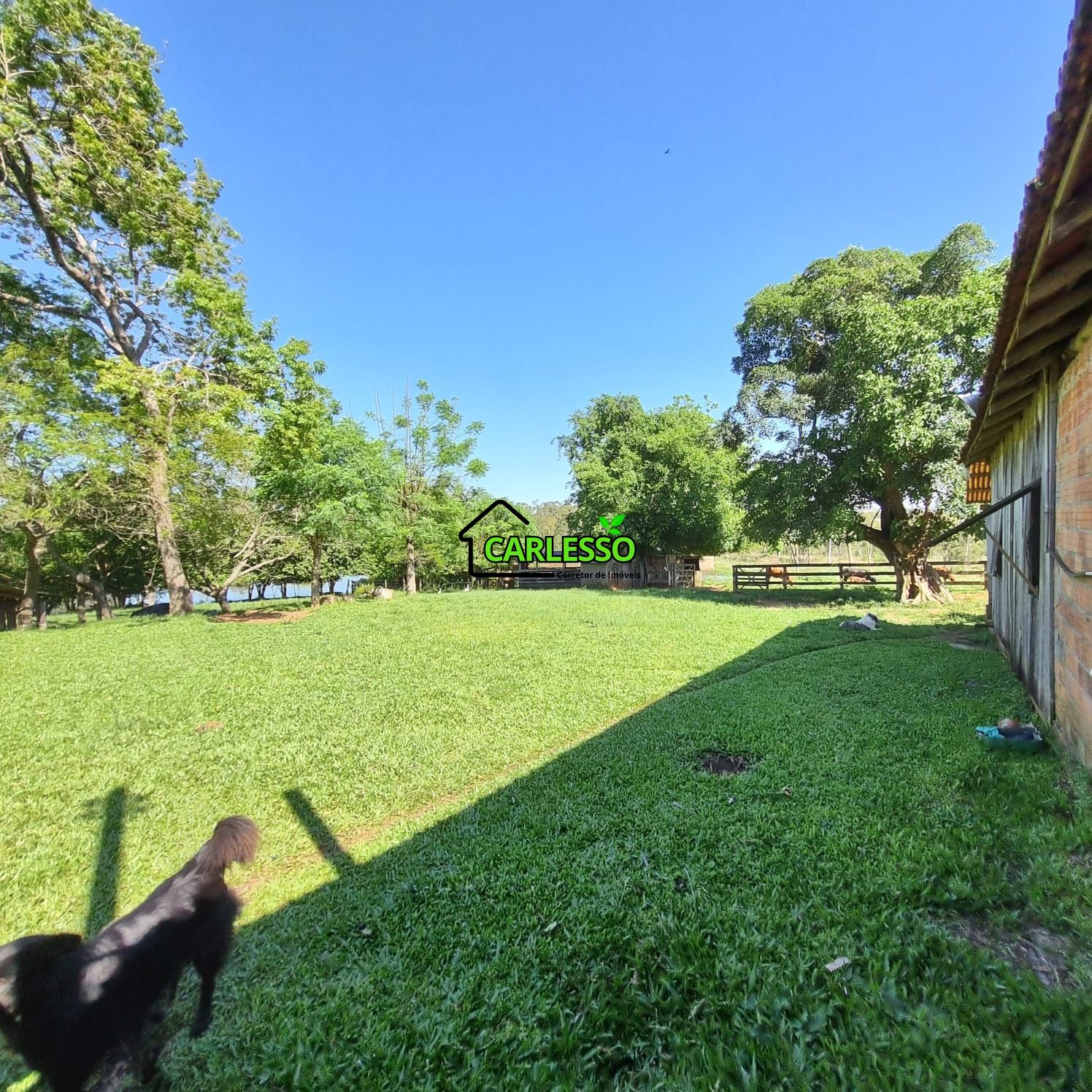 Chácara, 5 quartos, 7 hectares - Foto 24