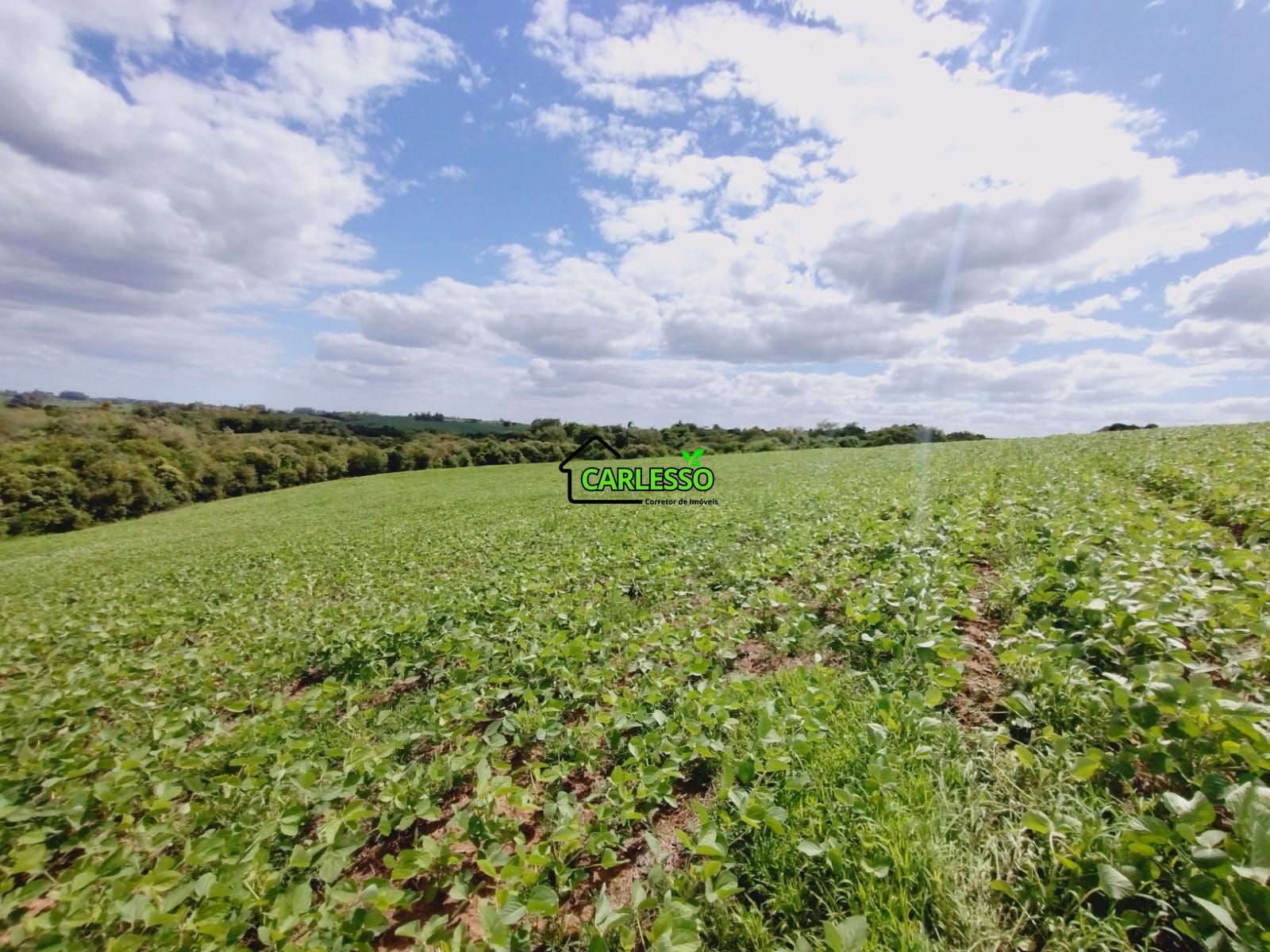 Sítio, 25 hectares - Foto 29