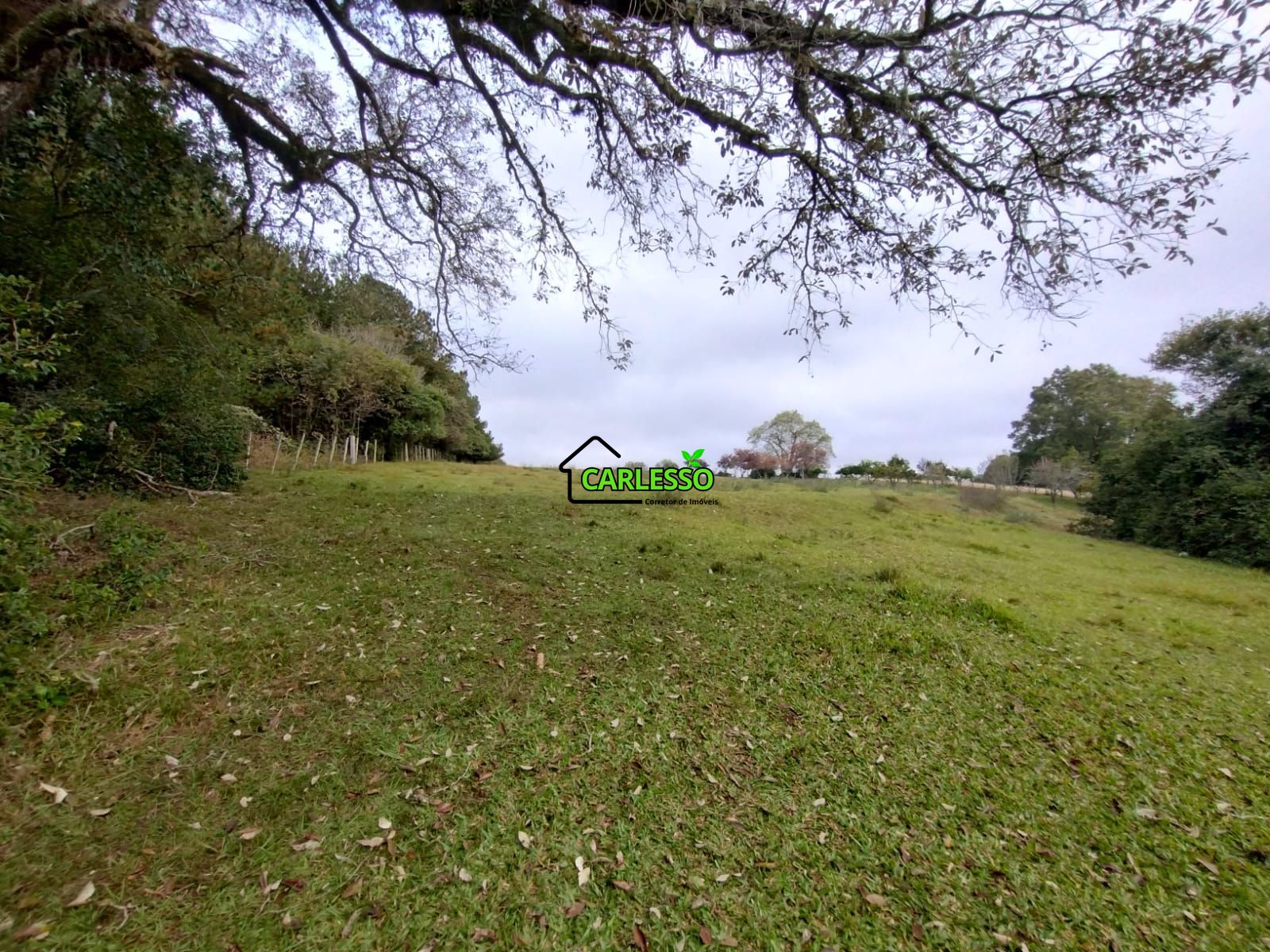 Área rural de frente ao asfalto
