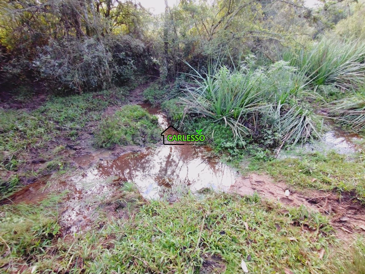 Chácara, 9 hectares - Foto 33