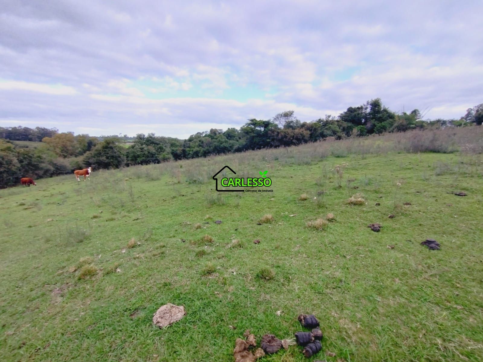 Terreno, 6 hectares - Foto 11