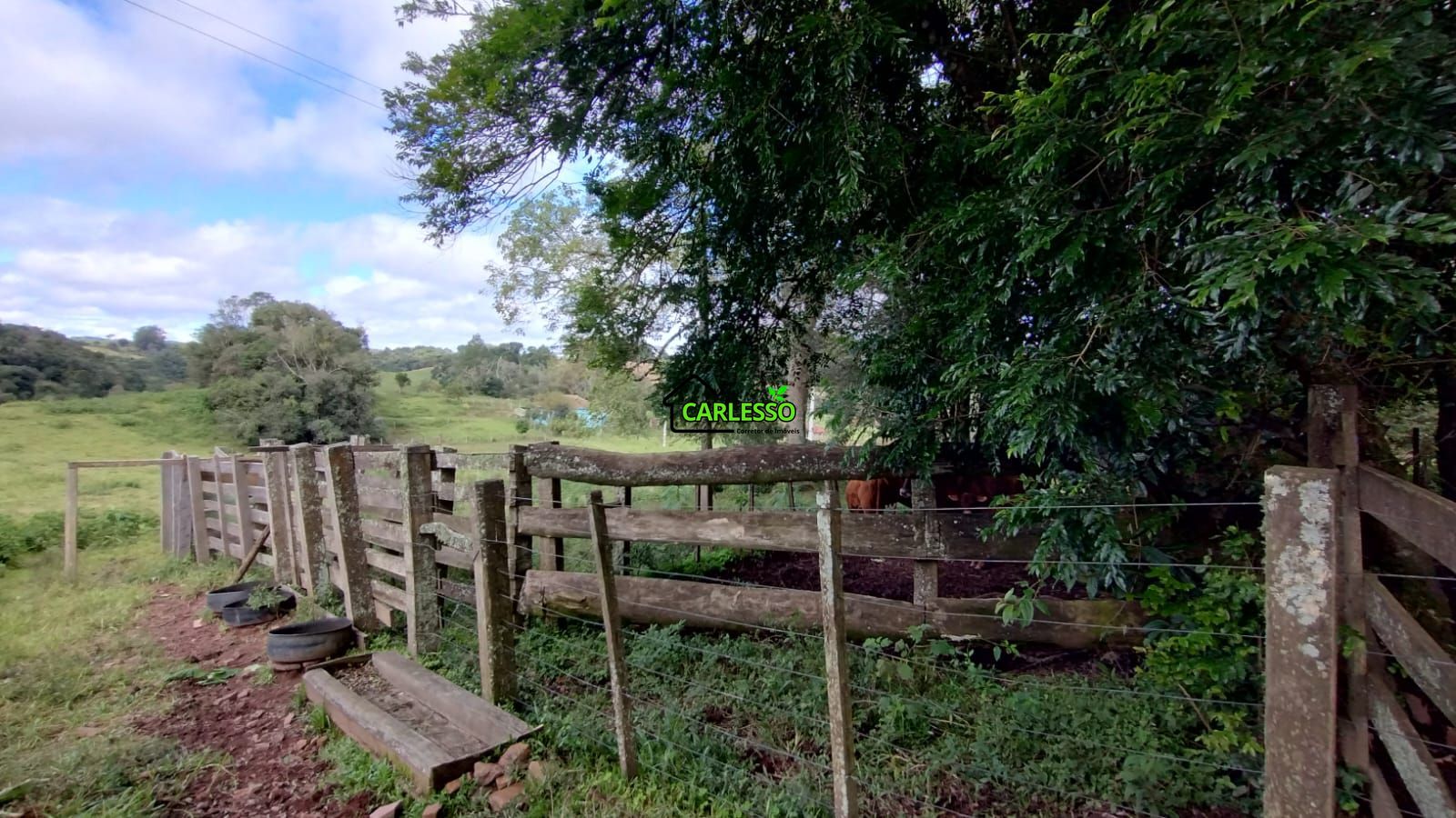 Área rural de 6 ha