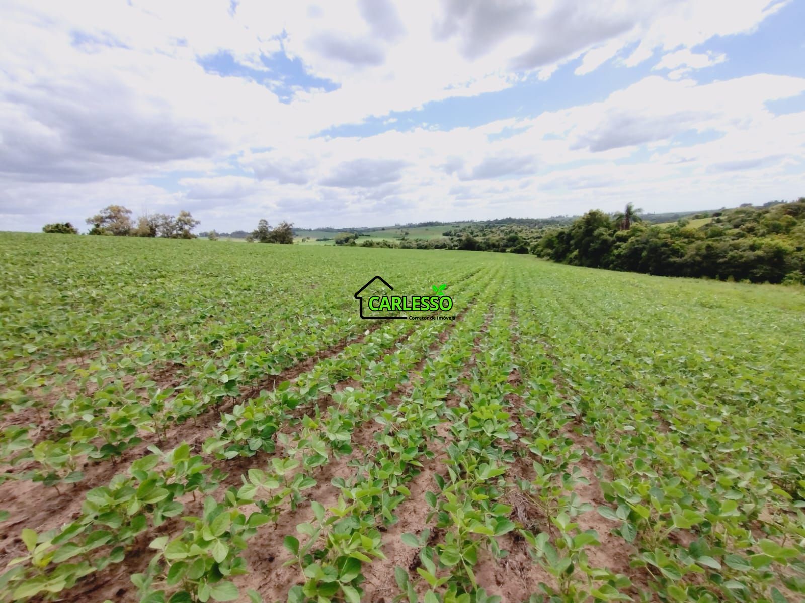 Sítio, 25 hectares - Foto 24