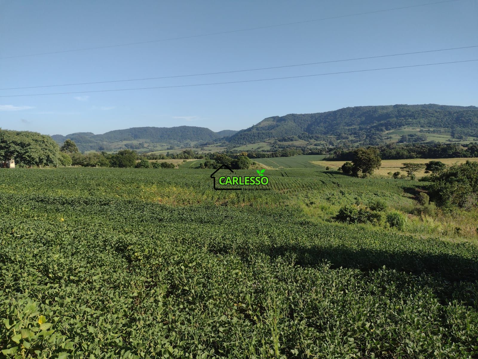 Área de 8,5 ha a venda