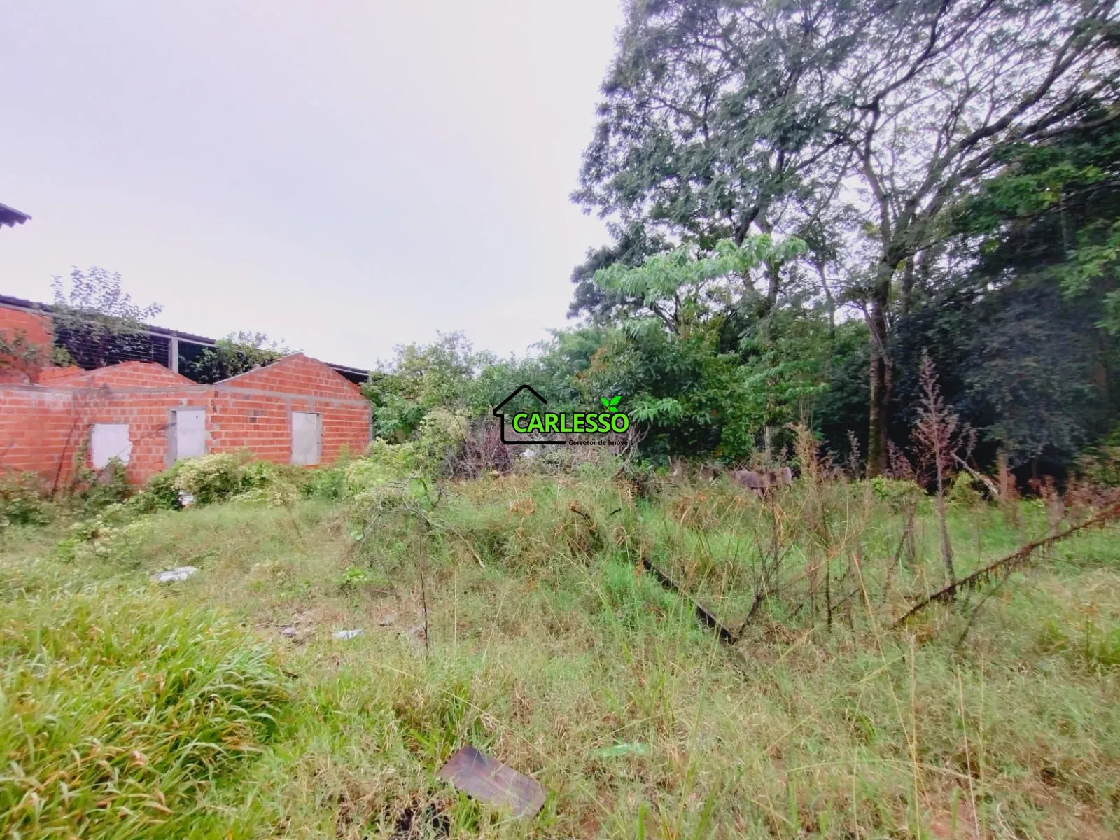 Terreno, 2668 m² - Foto 8