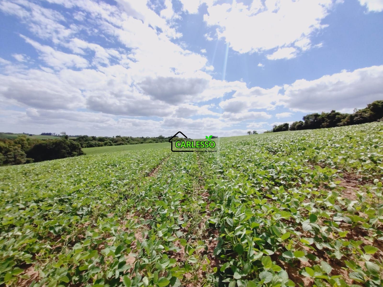 Sítio, 25 hectares - Foto 48