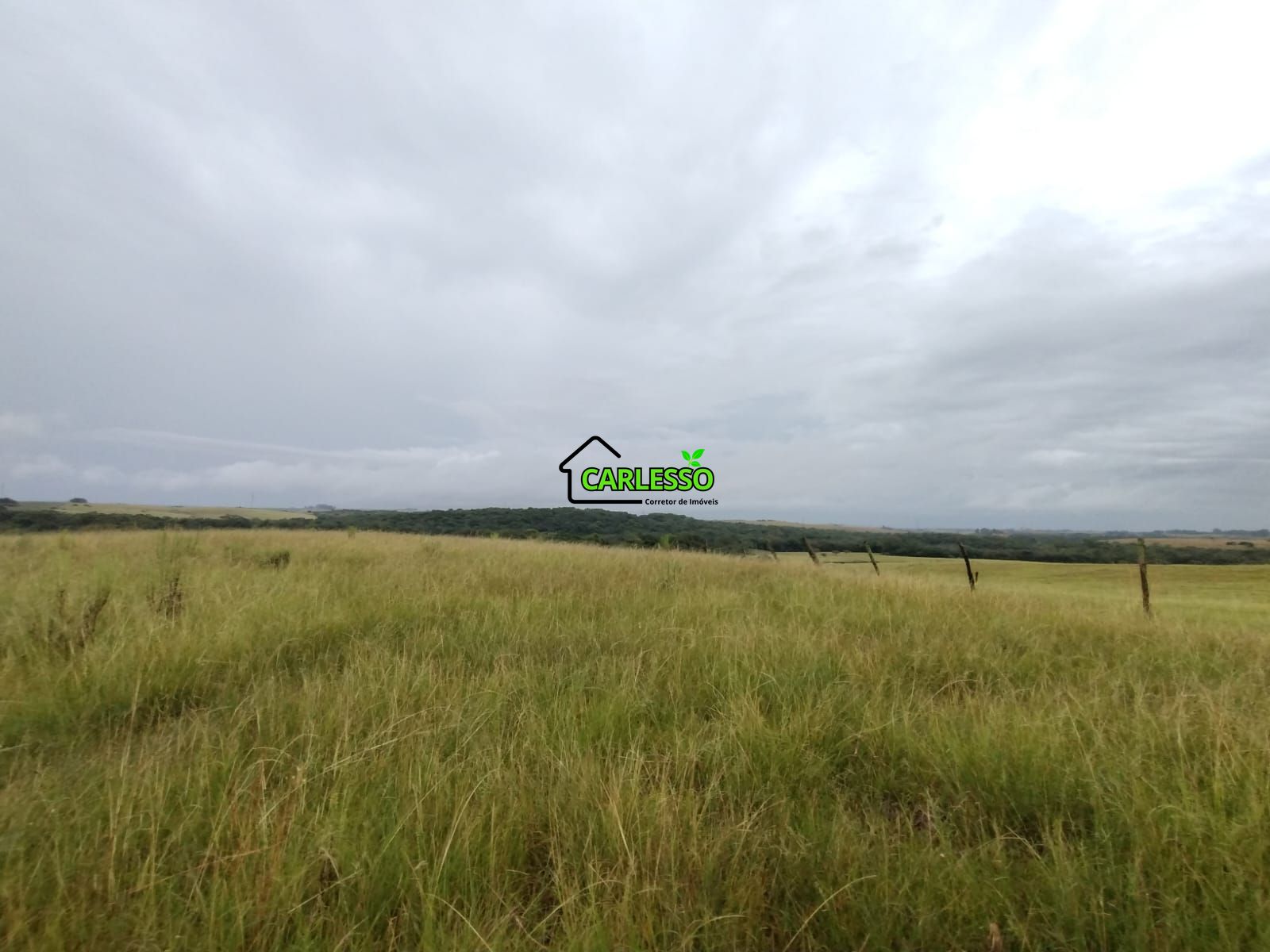 Fazenda de 80 ha em alegrete