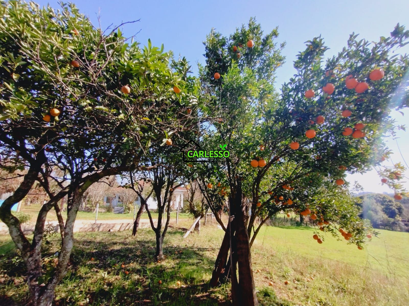 Casa, 2 quartos, 80 m² - Foto 20