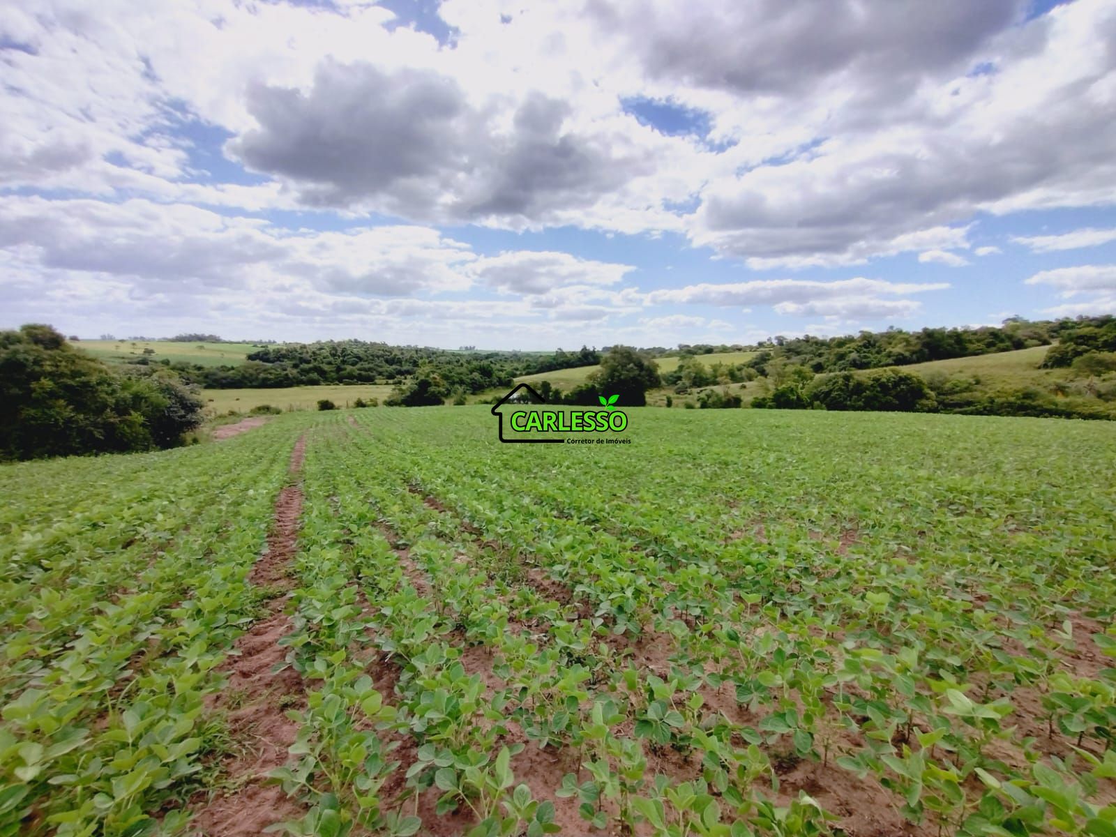 Sítio, 25 hectares - Foto 65