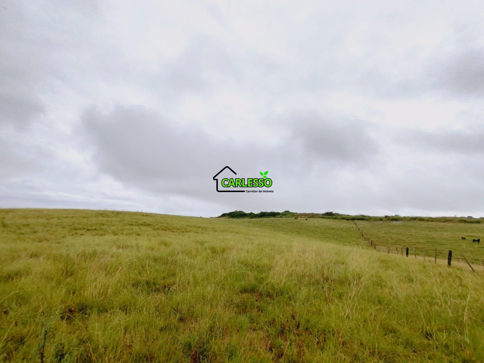 Fazenda de 80 ha em Alegrete