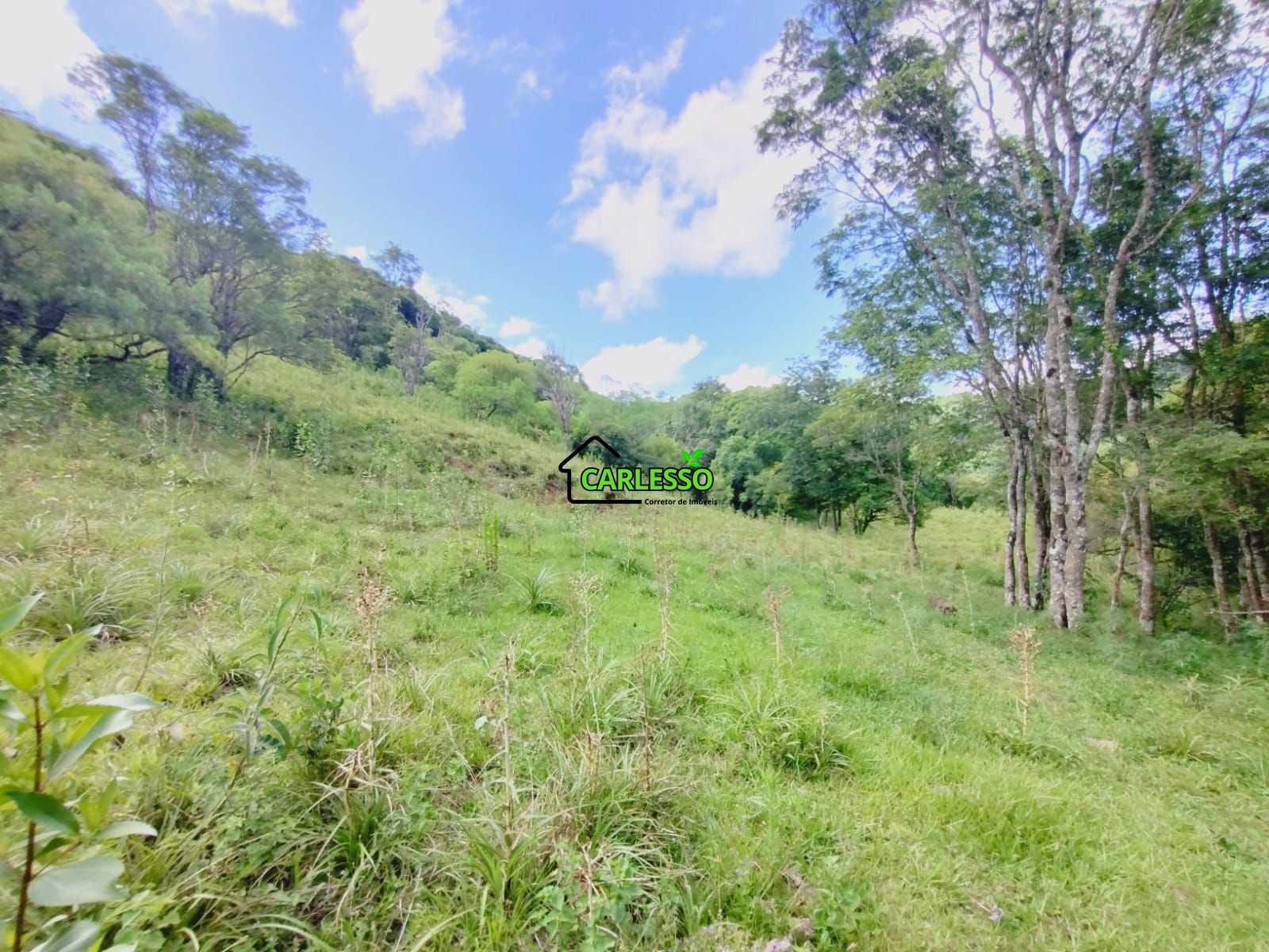 Fazenda/sítio/chácara/haras à venda, 228.000 m² por R$ 662.000,00 Fazenda/sítio/chácara/haras à venda, 228.000 m² por R$ 662.000,00