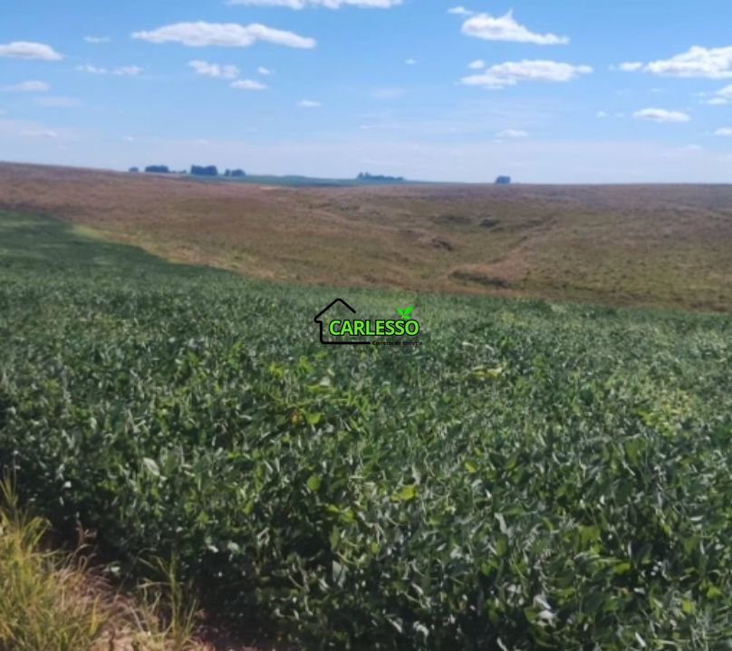 Fazenda, 156 hectares - Foto 7
