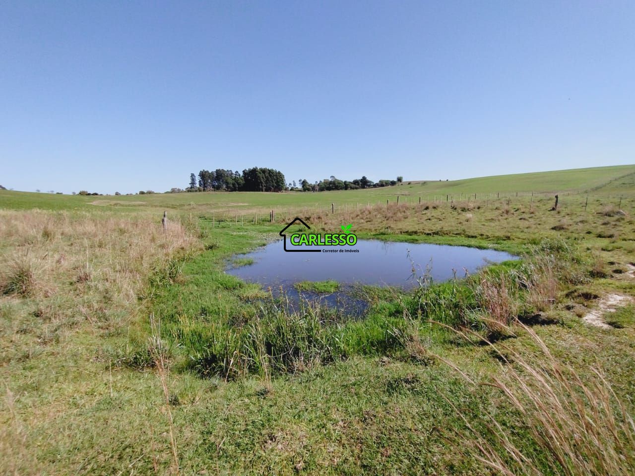 Chácara, 2 quartos, 2 hectares - Foto 54