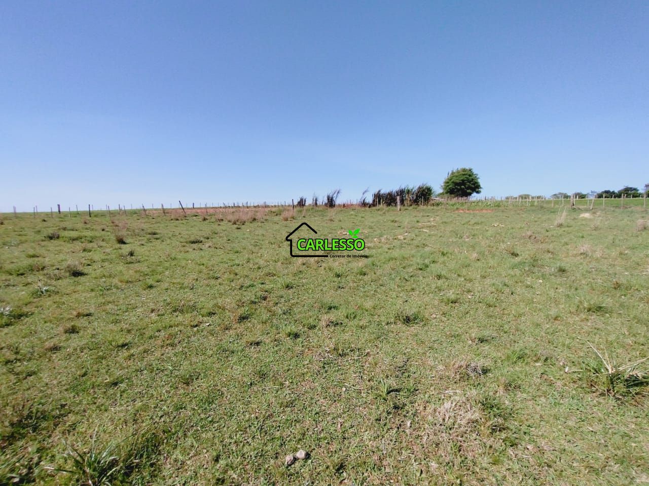 Chácara, 2 quartos, 2 hectares - Foto 44