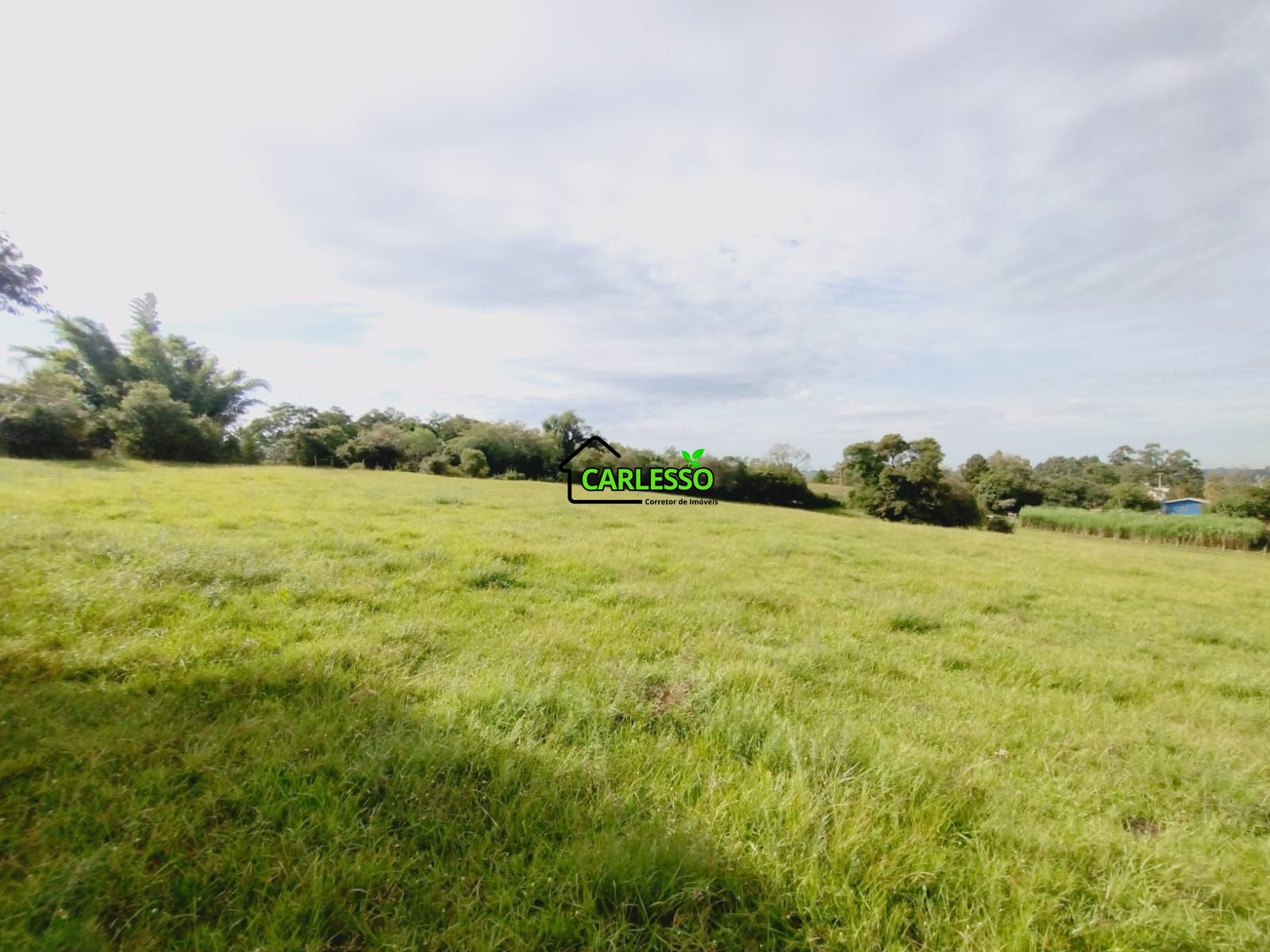 Sítio, 3 quartos, 4 hectares - Foto 48