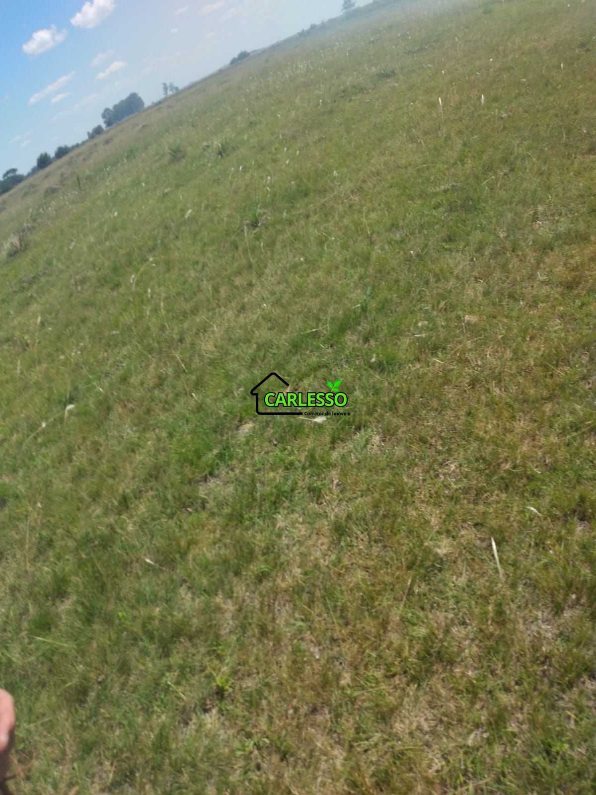 Fazenda de 65 ha