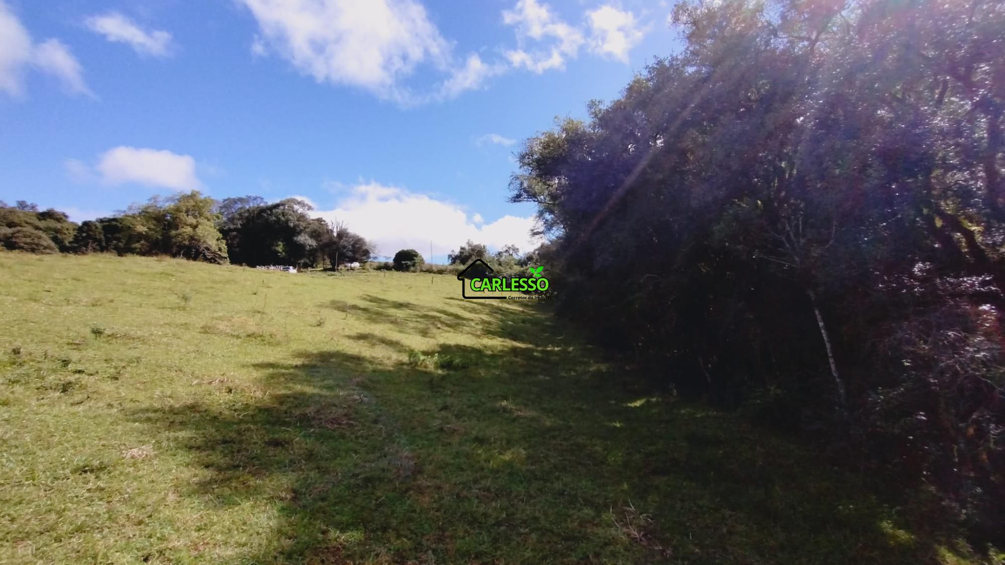 Área rural de 6 ha