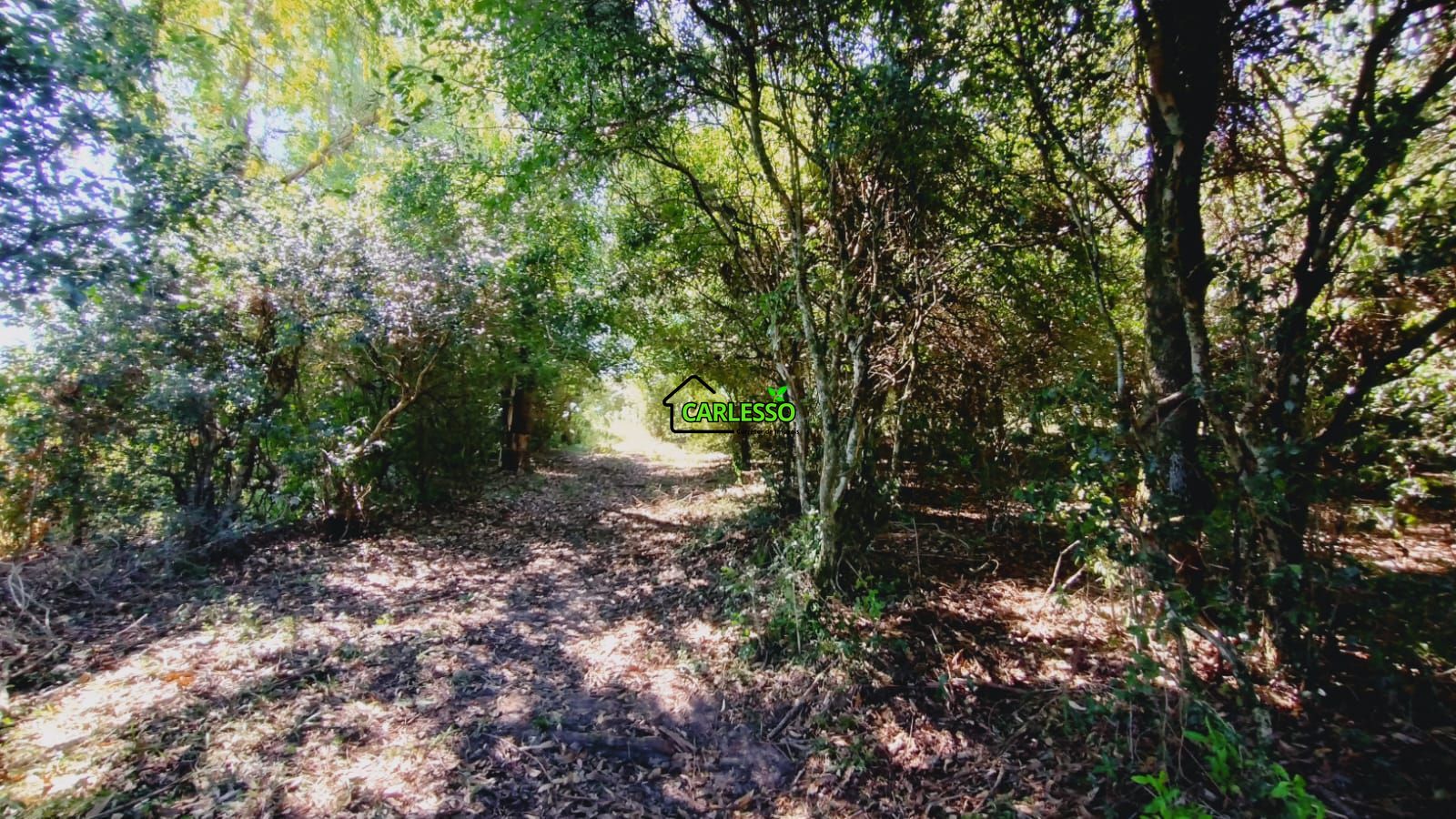 Sítio, 2 quartos, 7 hectares - Foto 43