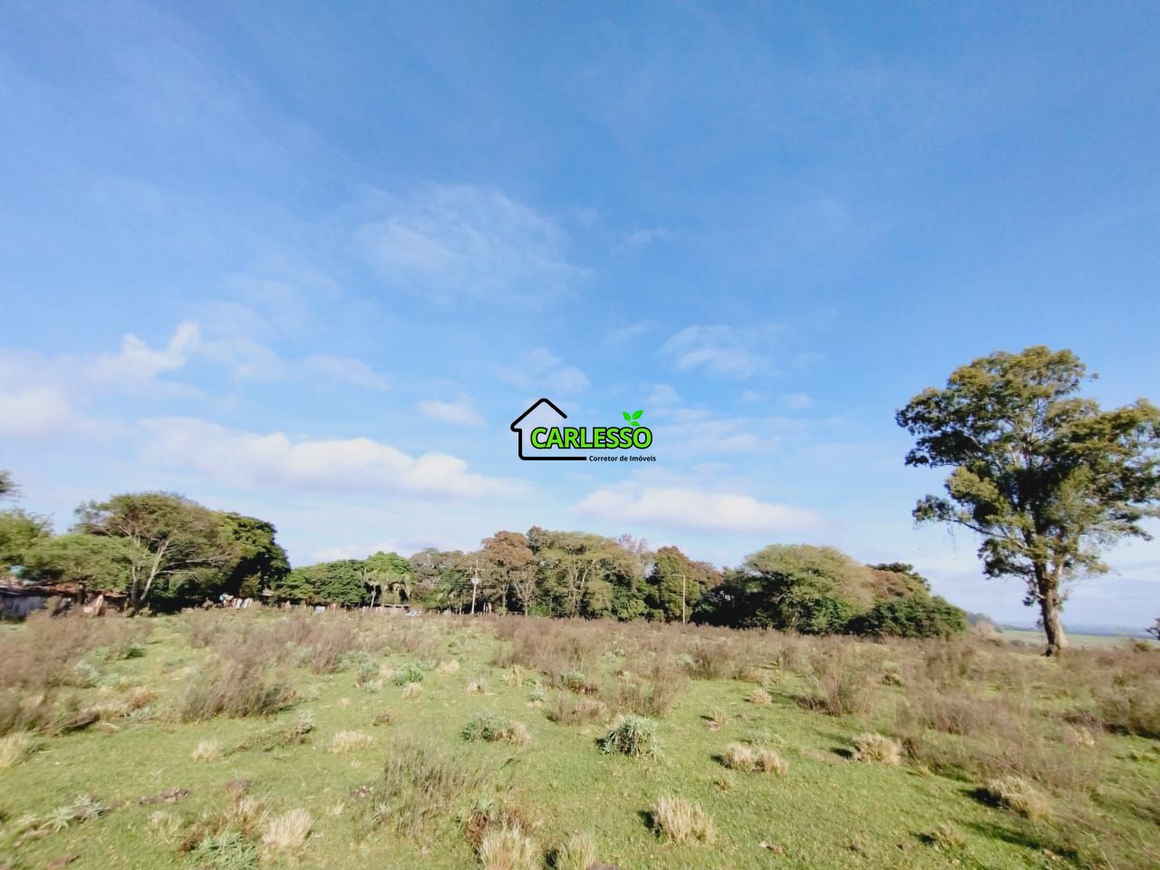 Chácara, 9 hectares - Foto 11