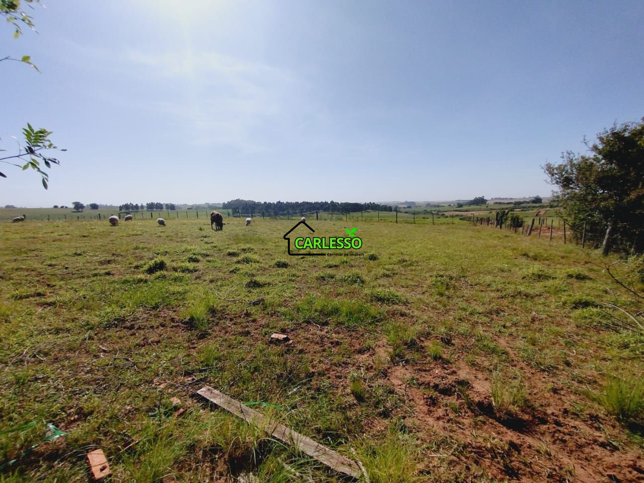 Chácara, 2 quartos, 2 hectares - Foto 17