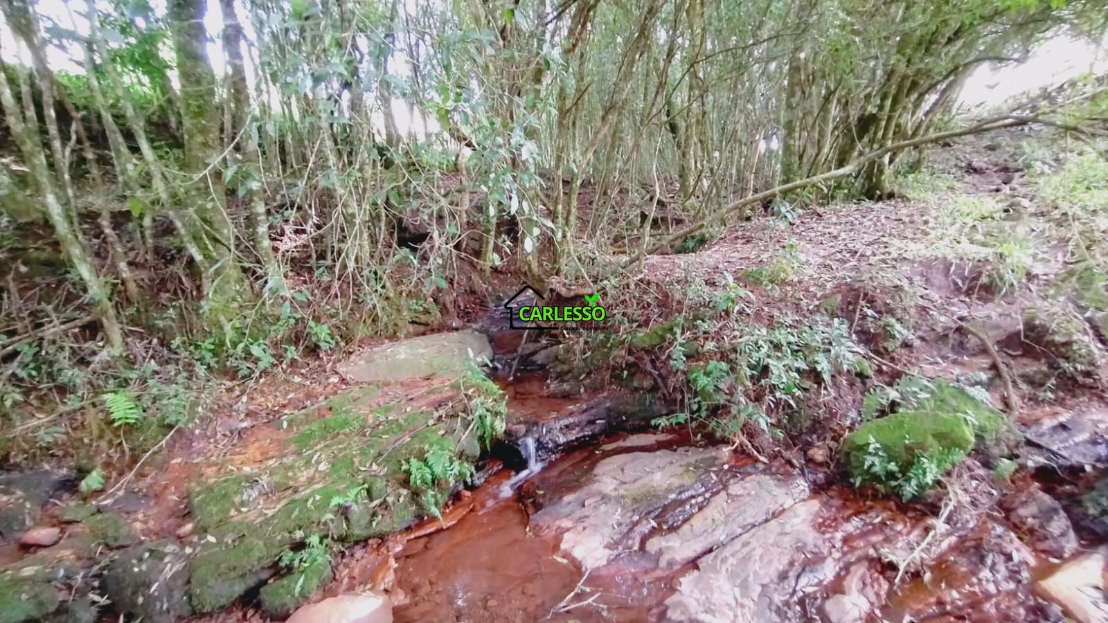 Área rural de 6 ha
