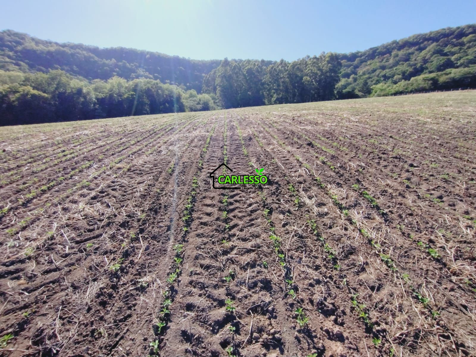 Sítio, 9 hectares - Foto 23