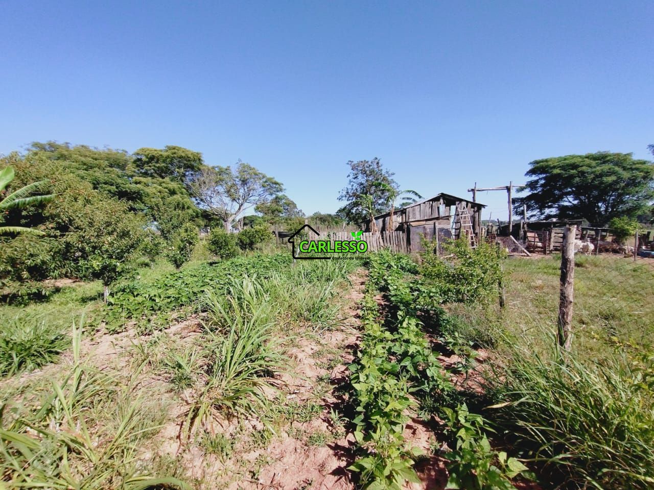 Chácara, 2 quartos, 2 hectares - Foto 14