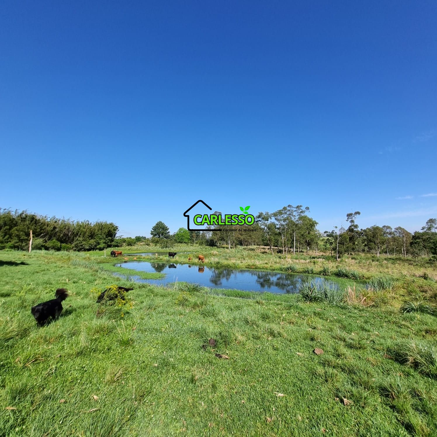 Chácara, 5 quartos, 7 hectares - Foto 27