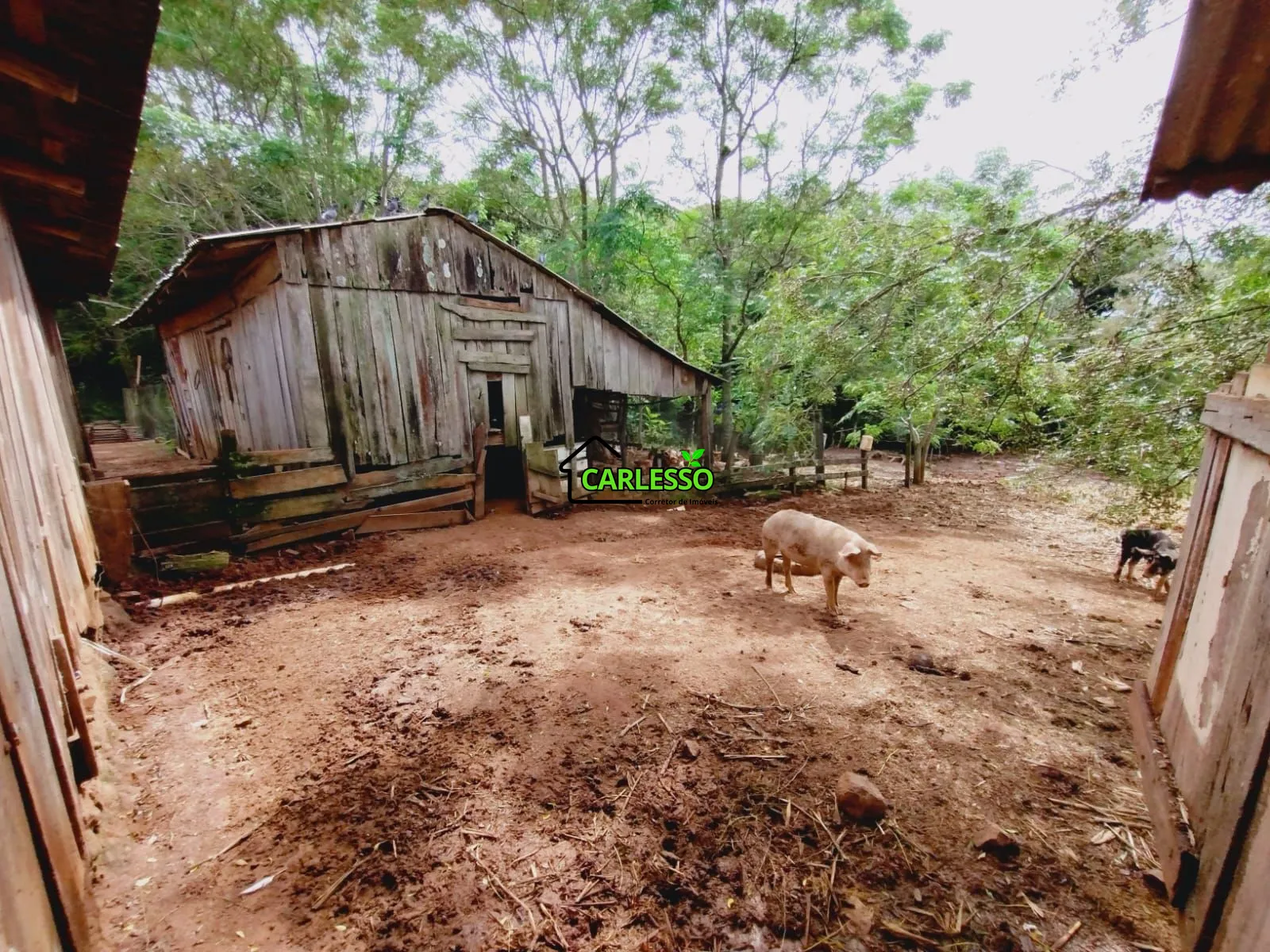 Sítio, 3 quartos, 25 hectares - Foto 22