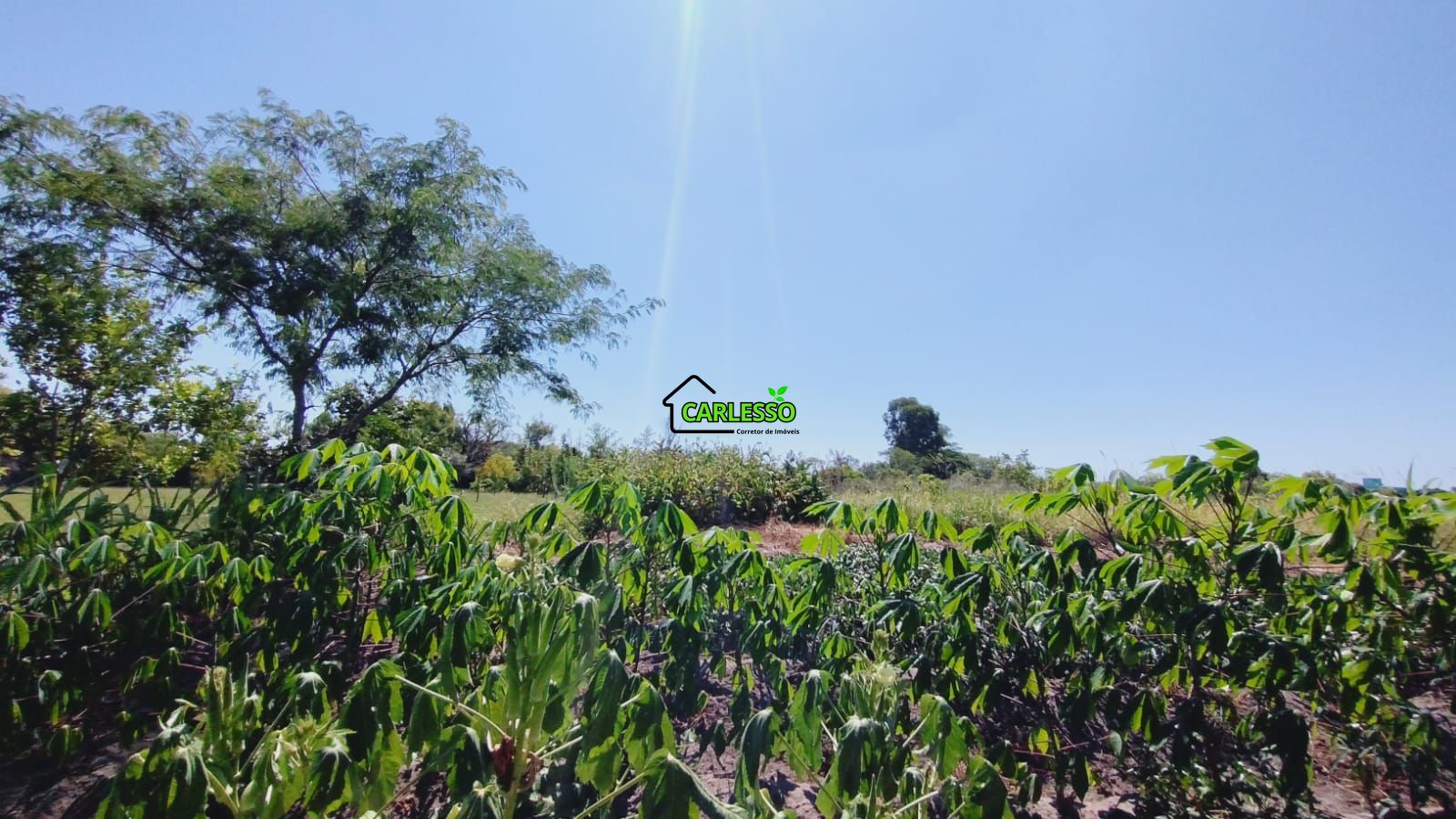 Sítio, 2 quartos, 7 hectares - Foto 33